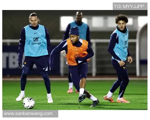 法国足球明星现状分析及未来发展趋势探讨 法国足球明星现状分析及未来发展趋势探讨